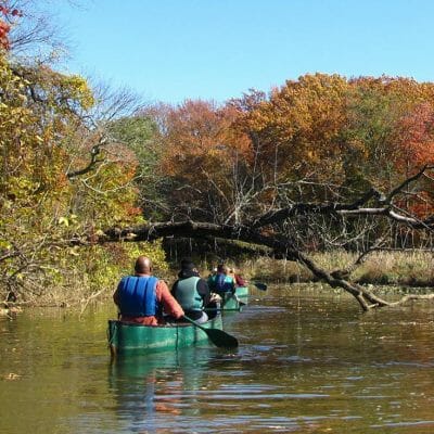 canoeing anita leight estuary