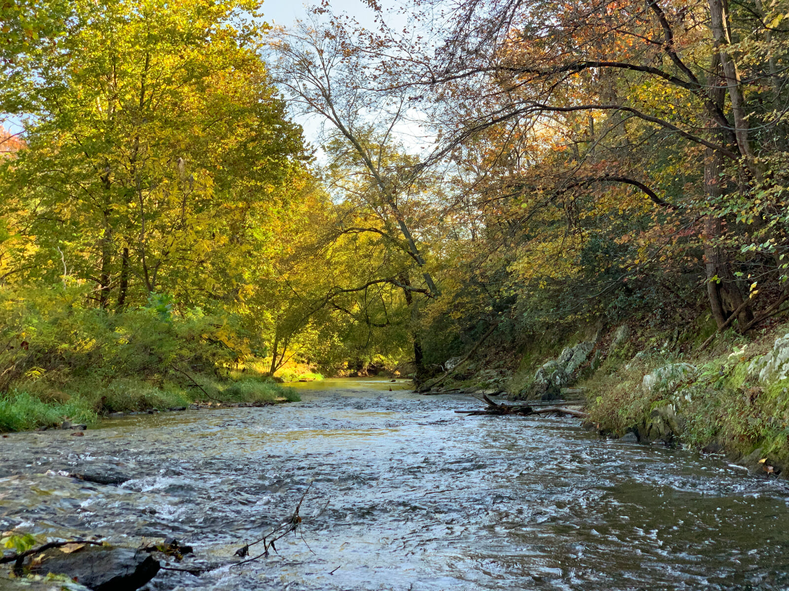 Eden Mill Nature Center Harford Land Trust