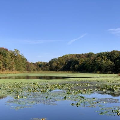 forest greens lake preserve aberdeen maryland