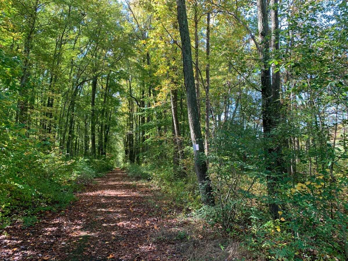 forest greens lake preserve aberdeen maryland