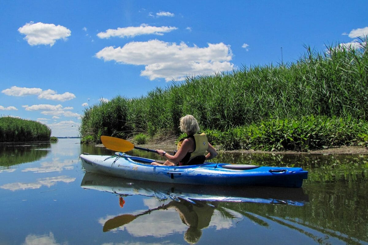 kayaking dundee creek harford county maryland dettner judy