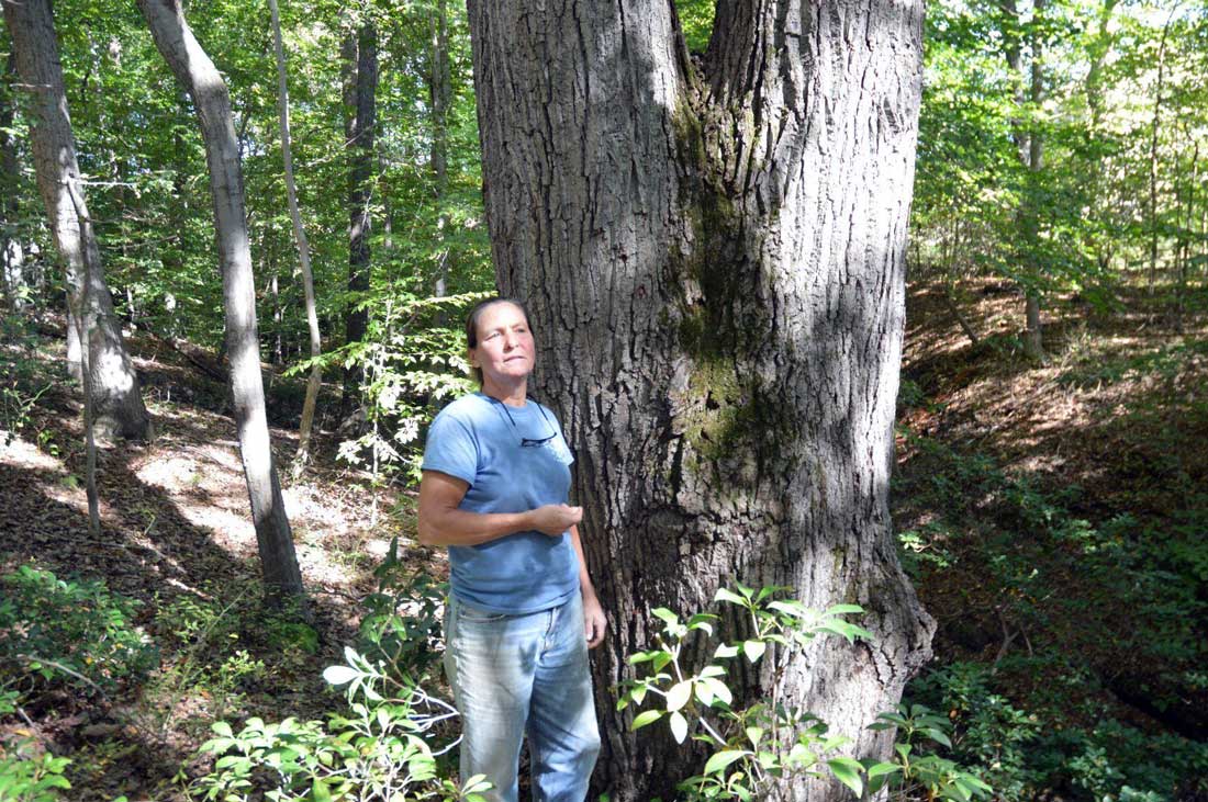 roni cassilly land preserve maryland by tom pelton